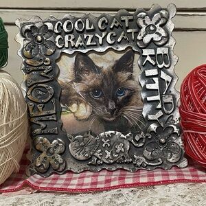 Solid metal Picture Frame Cool Cat!